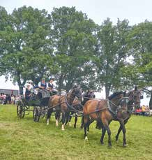 Pferdetag Bergfest MArkneukirchen 2026